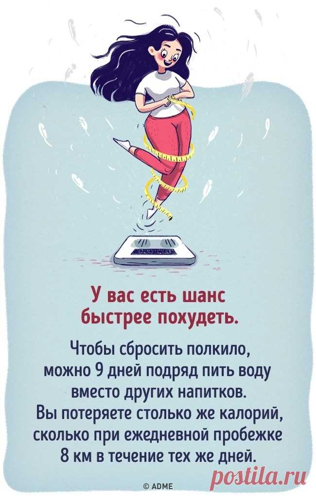 Что будет, если все напитки заменить водой — ХОЗЯЮШКА24