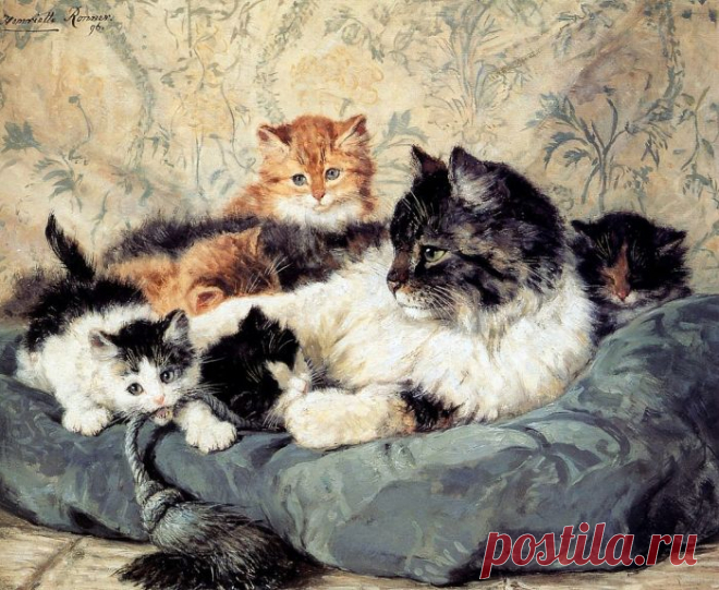 Кошки Генриетты Роннер-Книп