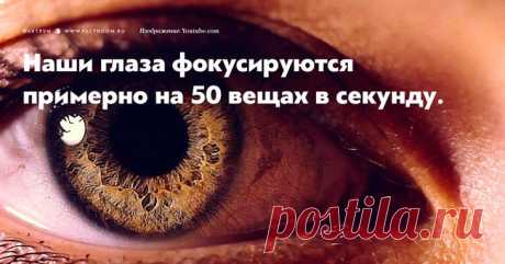 15 фактов о глазах, которых вы никогда не слышали