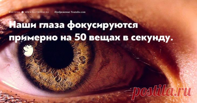 15 фактов о глазах, которых вы никогда не слышали