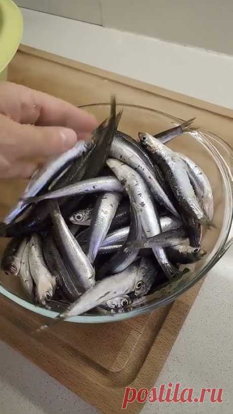 Как засолить кильку? Простой вкусный рецепт. #shorts #shortsvideo #shortsvideoyoutube