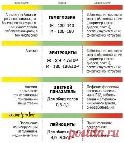О чем расскажет анализ крови | Human psychology