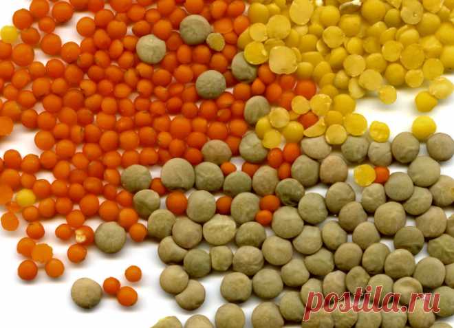 10 продуктов с высоким содержанием белка, которые могут заменить «качалку»