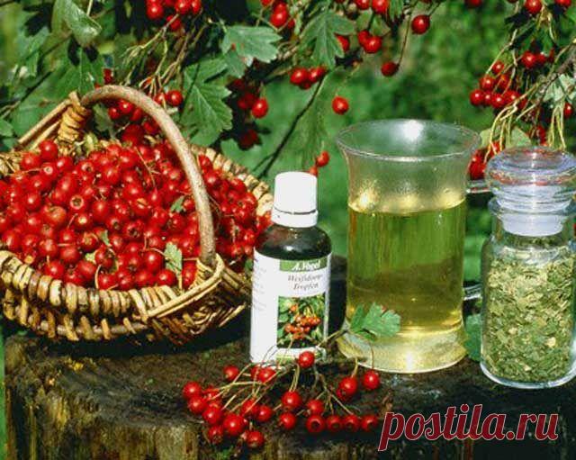 Рецепты народной медицины / Будьте здоровы