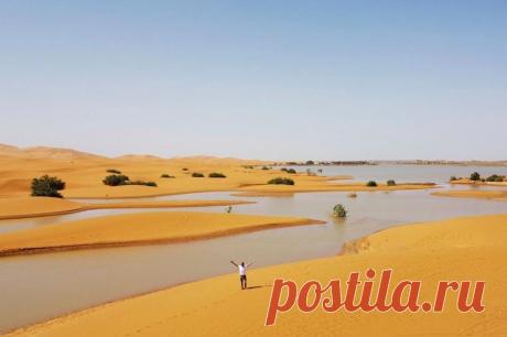 Пустыню Сахара затопило после аномальных ливней: среди песчаных дюн стоит вода