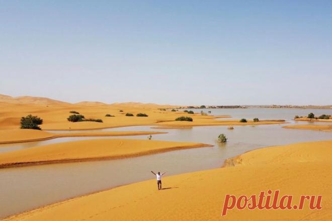 Пустыню Сахара затопило после аномальных ливней: среди песчаных дюн стоит вода