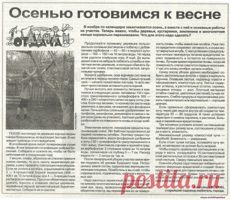Дача. Календарь работ на октябрь