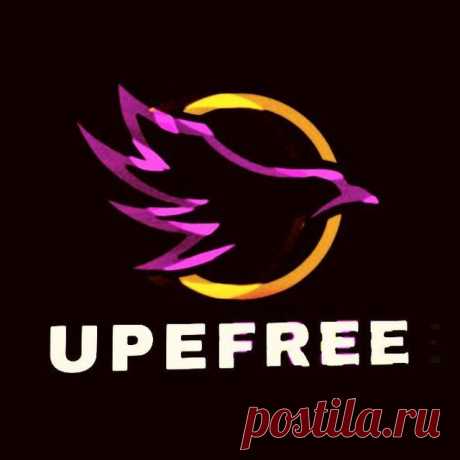 Бесплатно Envato Elements бот автозагрузки файлов