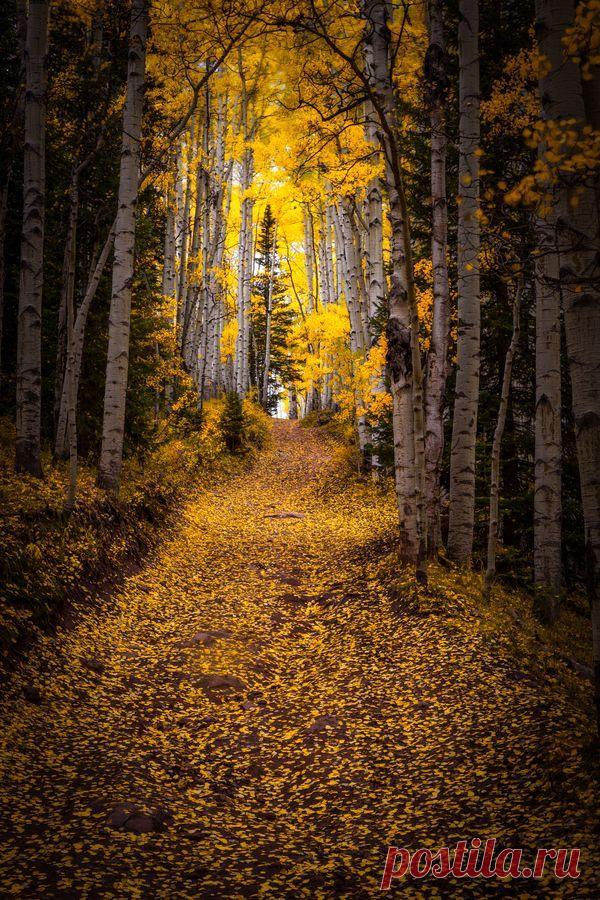 Найдено на сайте 500px.com.