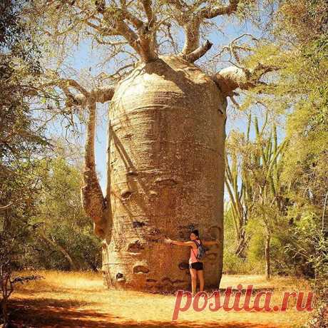 Photo by NATURE GEOGRAPHY in Madagascar with @maguzman83.