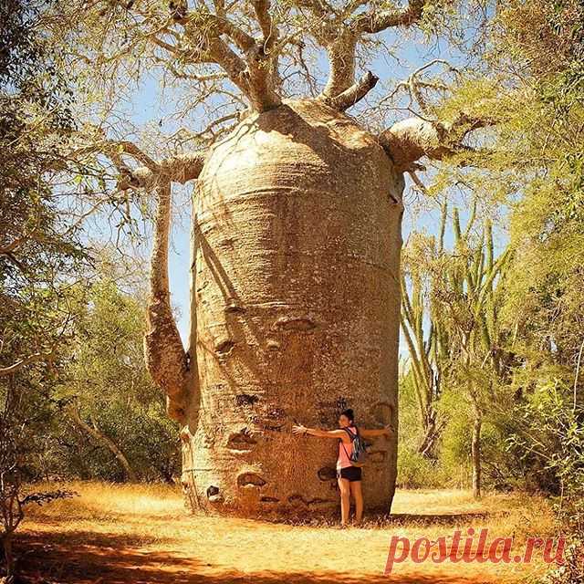Photo by NATURE GEOGRAPHY in Madagascar with @maguzman83.