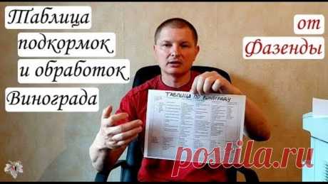 Таблица подкормок и обработок винограда от Фазенды