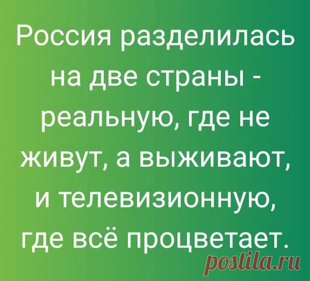 Анекдоты, байки и просто приколы (38 картинок)