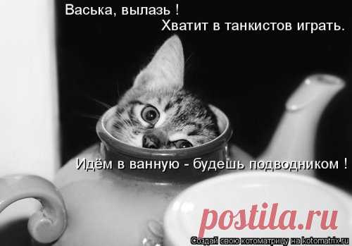 Свежая котоматрица