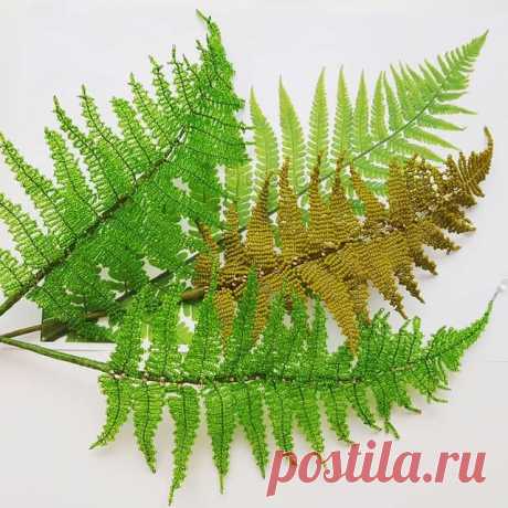 🇺🇸 #BeadedFern 🌿🌿🌿
💡 While working on beaded fern, I came up with a brand new technique! ☝️🤓🔥 Neither French, nor Victorian, so probably Russian? 😜
📎P.S.: Needless to say, I'm going to make a PDF master class on beaded fern and my new technique, as I've already got plenty of requests!
✔ If you want it too, ❤ it!
__________🖋
🇷🇺 #ПапоротникИзБисера 🌿🌿🌿
💡 В процессе создания папоротника из бисера мне удалось изобрести абсолютно новую технику: ни французскую, ...
