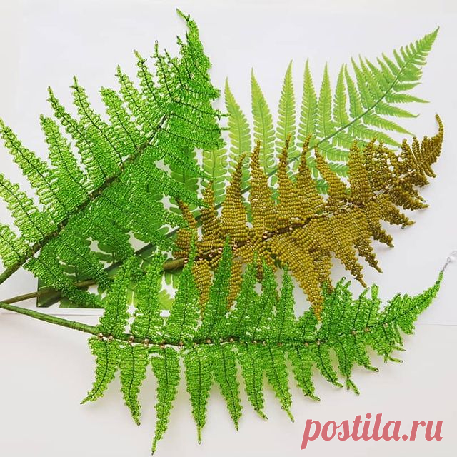 🇺🇸 #BeadedFern 🌿🌿🌿
💡 While working on beaded fern, I came up with a brand new technique! ☝️🤓🔥 Neither French, nor Victorian, so probably Russian? 😜
📎P.S.: Needless to say, I'm going to make a PDF master class on beaded fern and my new technique, as I've already got plenty of requests!
✔ If you want it too, ❤ it!
__________🖋
🇷🇺 #ПапоротникИзБисера 🌿🌿🌿
💡 В процессе создания папоротника из бисера мне удалось изобрести абсолютно новую технику: ни французскую, ...
