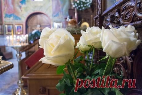 САМЫЙ ГЛАВНЫЙ ПОСТ- НЕ ЕСТЬ ДРУГ ДРУГА

Самый главный пост – не есть друг друга…
Только соблюдается с трудом…
От того теплей бывает вьюга,
Чем с людьми родными общий дом…
От еды отказ – благое дело…
Только от злобливости отказ
Вылечит не только душу с телом,
Но ещё добру дорогу даст…

Нужно отказаться от обиды
И от равнодушия навек,
Чем формальный пост лишь внешним видом,
А внутри пропащий человек…
Главное в себе не потеряться,
Заблудившись в мыслях как в лесу…
Вряд ли нам...