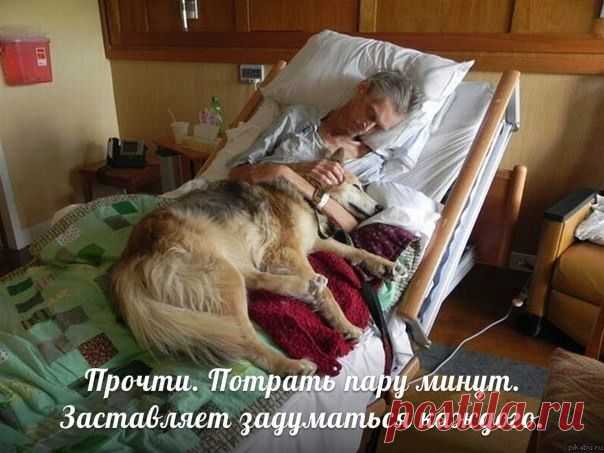 Мой Мир@Mail.Ru