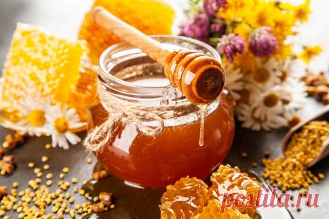 Зачем есть мёд на ночь: удивительное влияние на здоровье