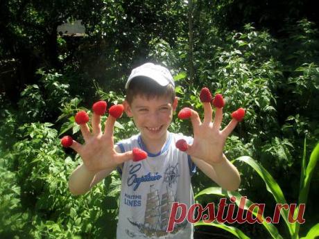 Владислав и малина, в саду моих родителей., автор Андрей Александрович Балабуха. Артклуб Gallerix