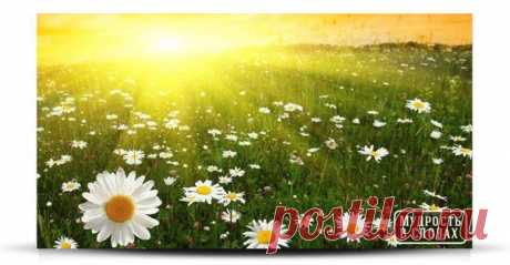 ПРИТЧА &quot;СОЛНЦЕ И ВЕТЕР&quot;