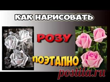 Урок №1. Как нарисовать розу. Рисуем лессировками в стиле голландского натюрморта.