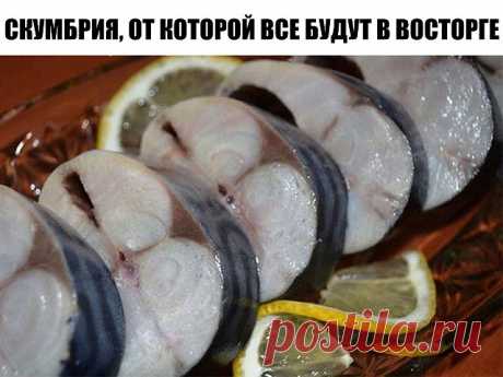 ВКУСНАЯ СОЛЁНАЯ СКУМБРИЯ чистить, в рассоле, 2-е суток
Соль – 5 ст.л. без верха
Сахар – 2 ст.л.
Чай чёрный без добавок – 3 ст.л.
Лук – 1 шт.
Вода – 1 л