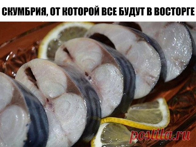 ВКУСНАЯ СОЛЁНАЯ СКУМБРИЯ чистить, в рассоле, 2-е суток
Соль – 5 ст.л. без верха
Сахар – 2 ст.л.
Чай чёрный без добавок – 3 ст.л.
Лук – 1 шт.
Вода – 1 л