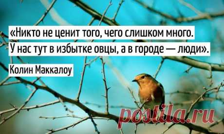 15 жизненных цитат из «Поющих в терновнике»