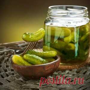 Секреты заготовки соленых и маринованных огурцов