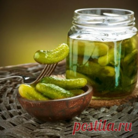 Секреты заготовки соленых и маринованных огурцов