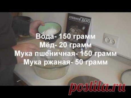Выращивание закваски для хлеба: 1-й этап. - YouTube