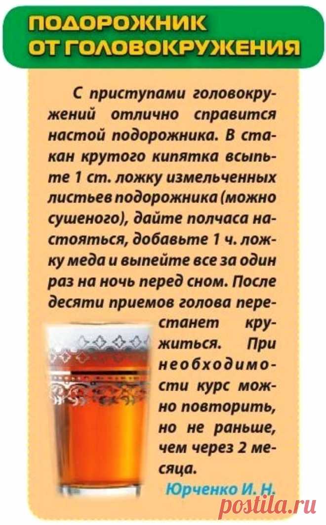 Подорожник от головокружения