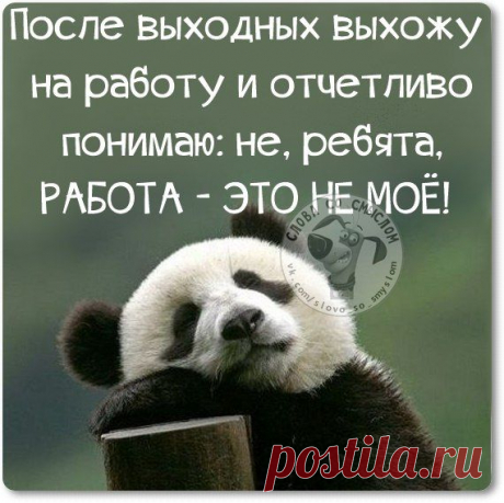 Прикольные фразки в картинках