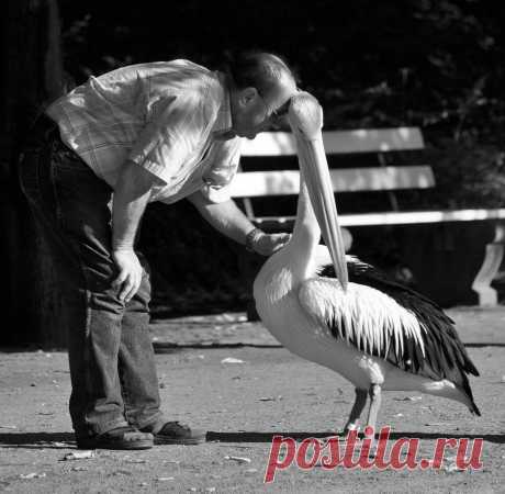 Schmusen erlaubt - Image &amp; Photo by Joew from Menschen in der Freizeit - Photography (28970755) | fotocommunity