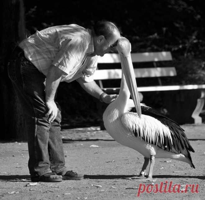 Schmusen erlaubt - Image & Photo by Joew from Menschen in der Freizeit - Photography (28970755) | fotocommunity