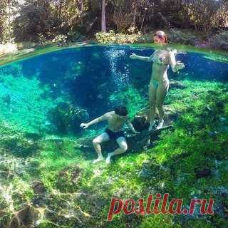 Парень знает толк в подводных фотографиях