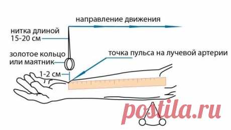 Как измерить давление без тонометра: способ, который пригодится всем! - womanlifeclub.ru