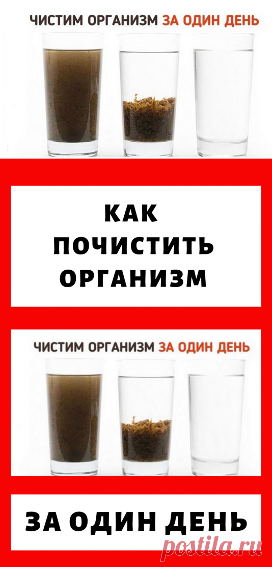 Как почистить организм