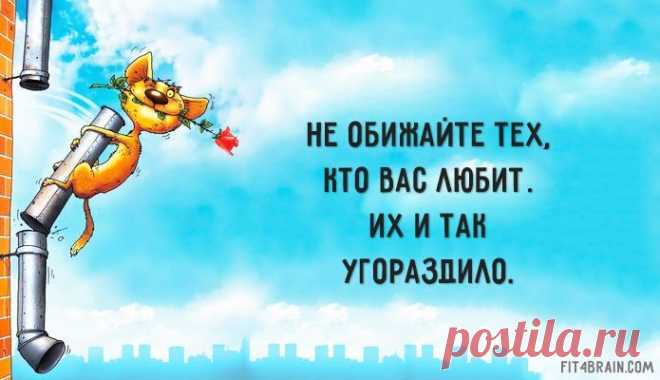 Найдено на сайте fit4brain.com.