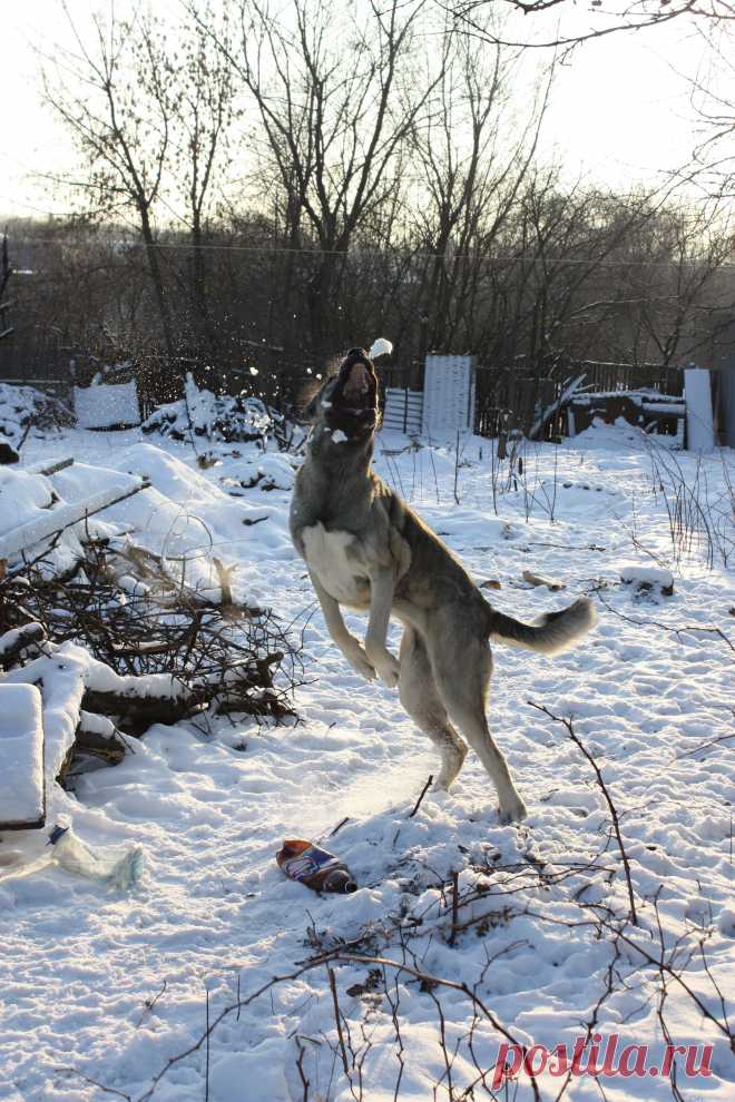 Такие вкусные шарики!
