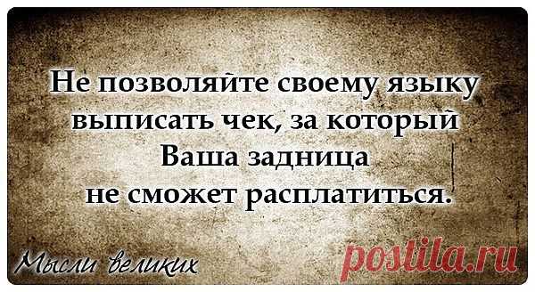 язык мой - ....