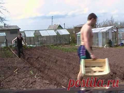 как быстро посадить картошку !.