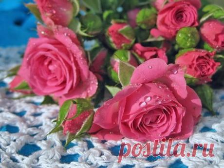 Цветы на фото для вас