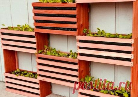 Вертикальное озеленение для сада и дачи своими руками | 33 Поделки | Яндекс Дзен
