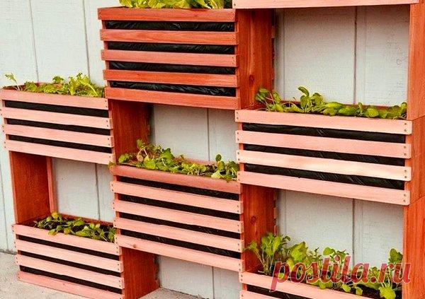 Вертикальное озеленение для сада и дачи своими руками | 33 Поделки | Яндекс Дзен