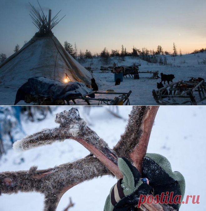 Что ненцу хорошо, то русскому не понять