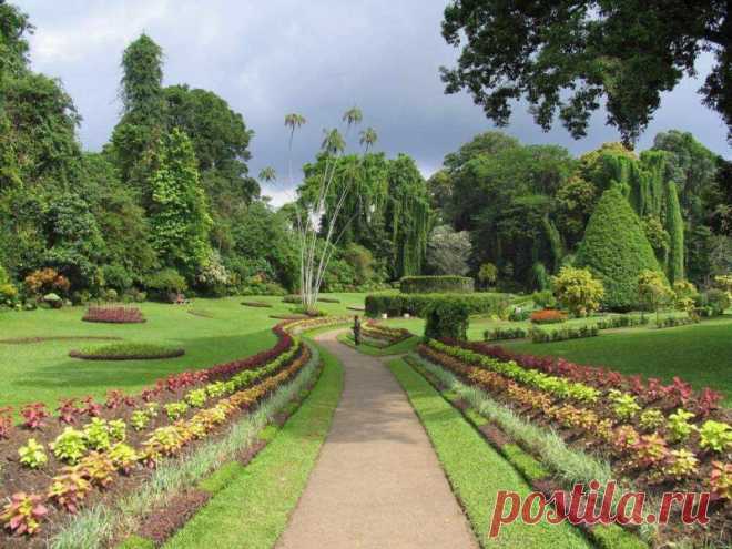 Королевский Ботанический Сад, Шри-Ланка Королевский Ботанический Сад в Перадении один из лучших в Азии. Созданный в 1821 г, сад расположен в 12 км от Канди, в излучине реки Махавели - самой крупной реки Шри-Ланки. Лучшие садоводы Шри-Ланки разбили огромную холмистую территорию на парковые зоны, отражающие разные типы...