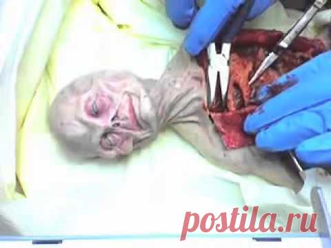 Инопланетяне давно на земле. НЛО|UFO