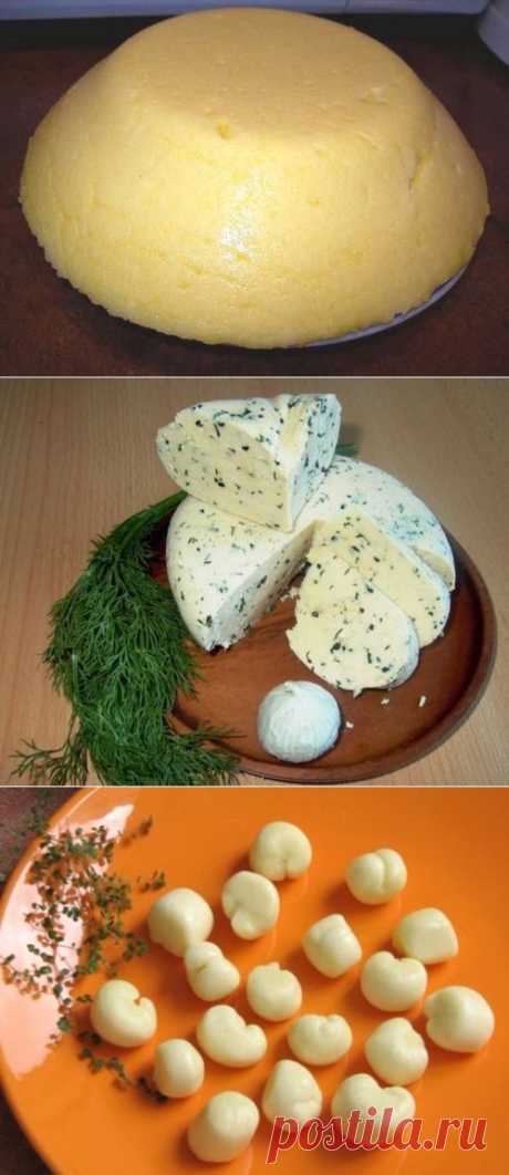 Домашний сыр – проще, чем кажется | Четыре вкуса